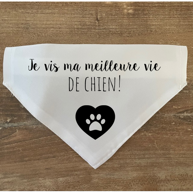 Collier bandana chien à personnaliser "Meilleure vie de chien"