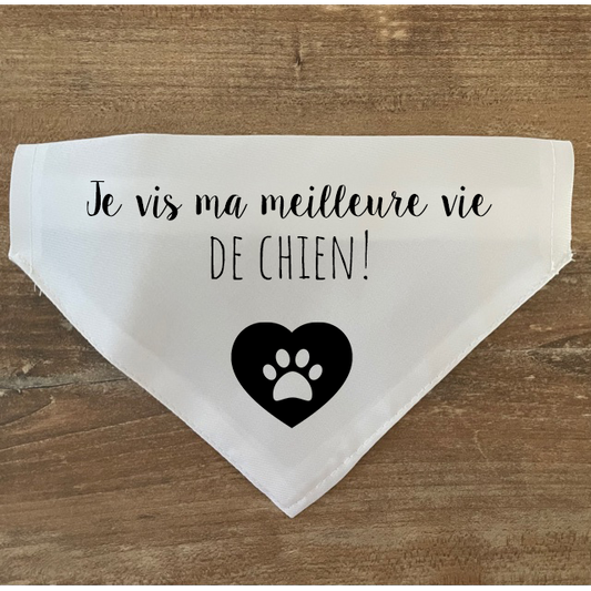 Collier bandana chien à personnaliser "Meilleure vie de chien"